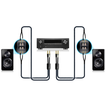 KABEL SVS SoundPath Ultra Bi-Wire Speaker Cable 3,05m (10FT)